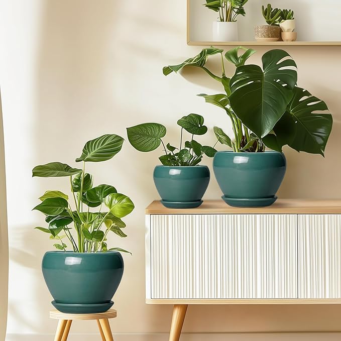 Indoor Plant Pot 6 Inch - Ceramic Planter with Drainage Hole and Saucer, Modern Decorative Indoor Planter for Herb Succulent Plants, Garden Home Decor, Gifts for Plant Lovers, Green