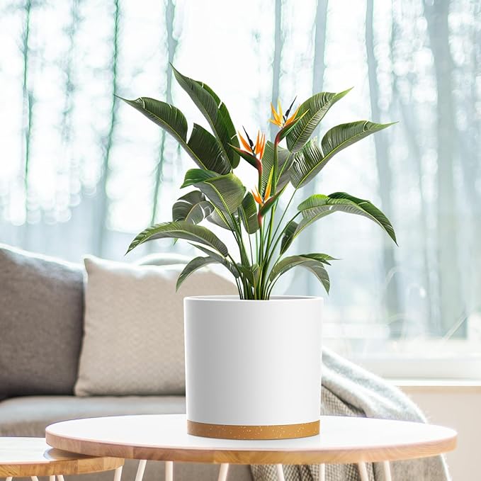 8 Inch Cylinder Flower Pots for Indoor Outdoor Plants, Medium Deep Plant Pots with Drainage Holes & Saucer, Decorative Plastic Planter Pots for Garden House Plants, White with Brown