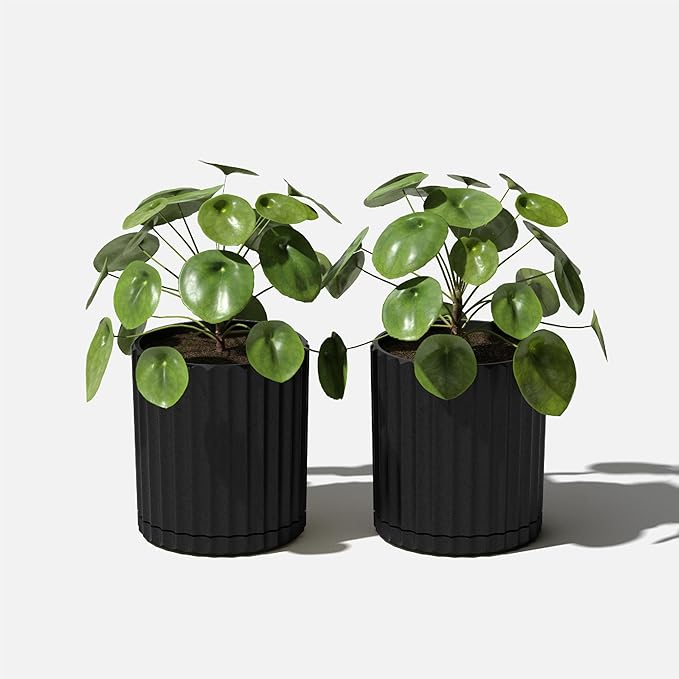 Veradek Demi Series Demi 6" Planter w/Tray - Black, 2 Pack