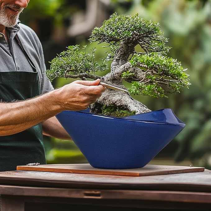 Bonsai Tree Pot 13 Inch - Ceramic Succulent Pots Large Bonsai Planter for Indoor Outdoor Plants Decorative Plant Pot with Drainage Hole Flower Pot for House Garden Room Home Decor Blue
