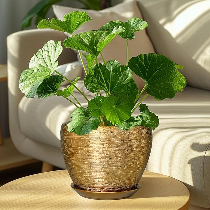 Ceramic Plant Pot 8 Inch - Planter for Outdoor Plants Indoor Plant Pot with Drainage Hole and Saucer Decorative Round Planter Modern Flower Pot for House Decor Gold