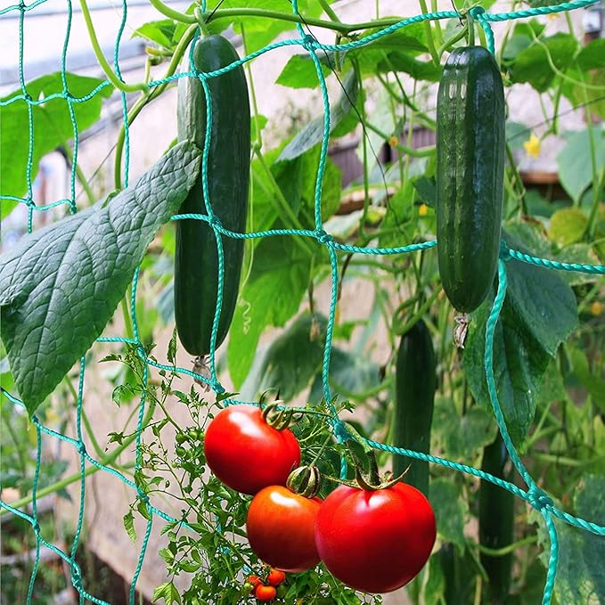 Trellis Netting for Climbing Plants - Heavy Duty Garden Trellis Netting for Cucumber, Vine, Fruits & Vegetables Tomato Plants Trellis Net, Climbing Vining Plants (1-Pack 16.4' x 6.6'Ft)