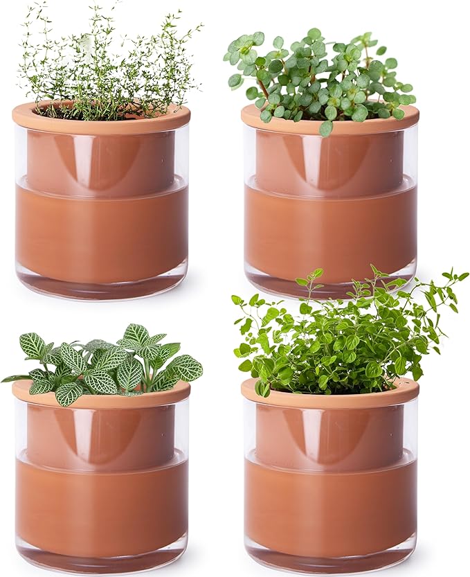 Phoenix Vine 4 Inch Self Watering Plants Pot, Design Terracotta Pot for Plants, Indoor Cylinder Terra Cotta Planter with Glass Vase, Set of 4, 51-A-E-4