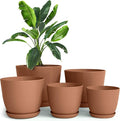 Utopia Home - Plastic Terracotta Pots with Drainage - 7/6.6/6/5.3/4.8 Inches Flower Pots for Indoor Planter - Pack of 5 Plastic Planters, Cactus, Succulents Pot