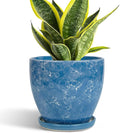 6 Inch Ceramic Plant Pot - Ceramic Planters with Drainage Hole and Saucer, Round Decorative Planter, Modern Planters for Indoor Outdoor Plants, Desk Office Decor, Housewarming Gifts, Blue