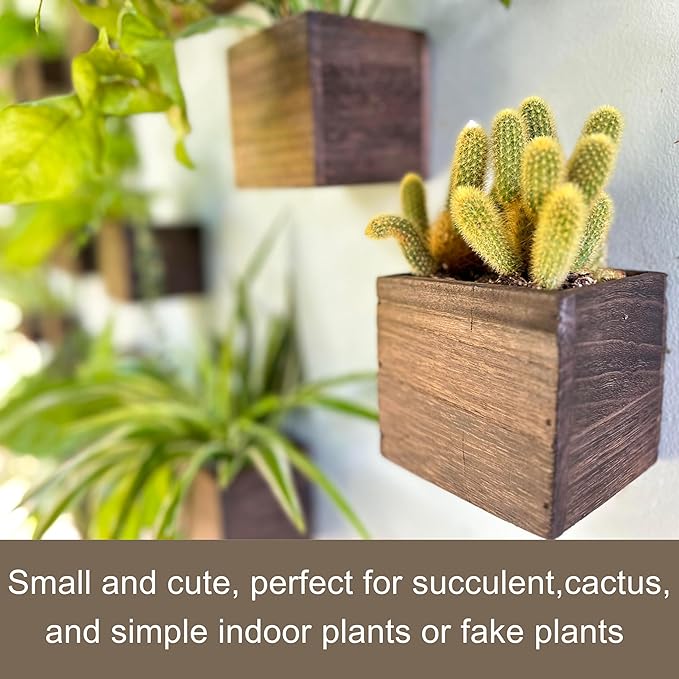 LaLaGreen Indoor Planter Box for Plants (4x4 Inch, 12 Pack) Small Square Wooden Wall Mounted Planters Wood Window Boxes Hanging Flower Pot Plant Holder Outdoor Herb Modern Vertical Garden Home Decor