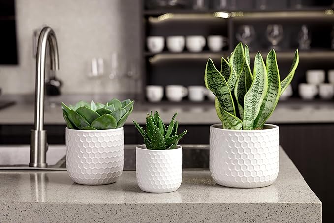 Docrin Plant Pots Indoor with Drainage: 6.4+5.3+4 Inch Ceramic Flower Pots for Plants - Set of 3 Modern Decorative Planters for House/Office/Gift - White Honeycomb
