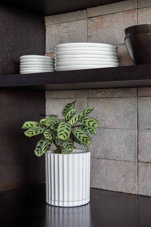 Veradek Demi Series Demi 6" Planter w/Tray - White, 2 Pack