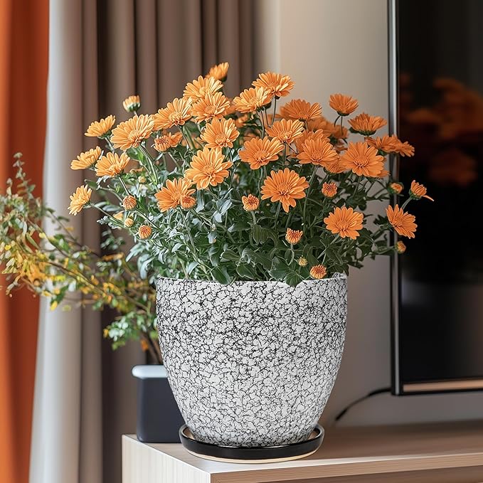 Ceraimc Plant Pot - 8 Inch Planter with Drainage and Saucer, Modern Round Planter, Flower Pot for Indoor Outdoor Plants, Home Room Garden Apartment Decor, Gifts for Plant Lovers, White-Black