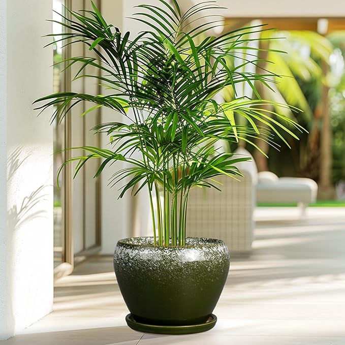 8 Inch Plant Pot - Ceramic Planter with Drainage Hole and Saucer, Modern Flower Pot for Glazed Indoor Plants Outdoor, Dark Green