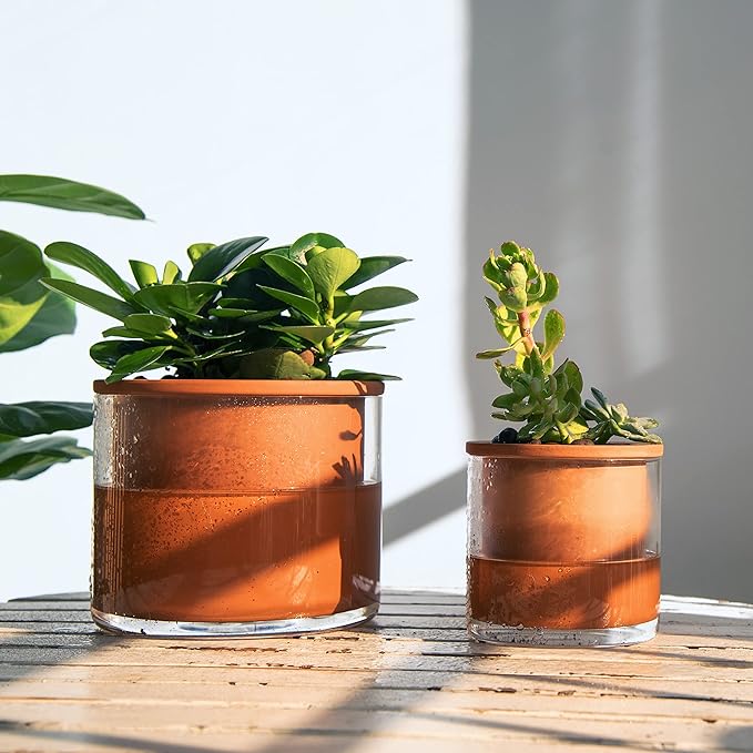 Phoenix Vine 4 Inch 6 Inch Self Watering Plants Pots, Design Terracotta Pots for Plants, Indoor Cylinder Terra Cotta Planter with Glass Vase Set, 51-A-G-46