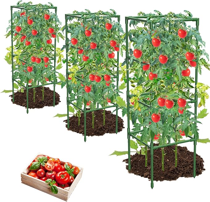 3 Pack Tomato Cages,Square Tomato Plant Stakes Support Cages Trellis for Garden Climbing Vegetables Flowers Fruits,Extra Bold