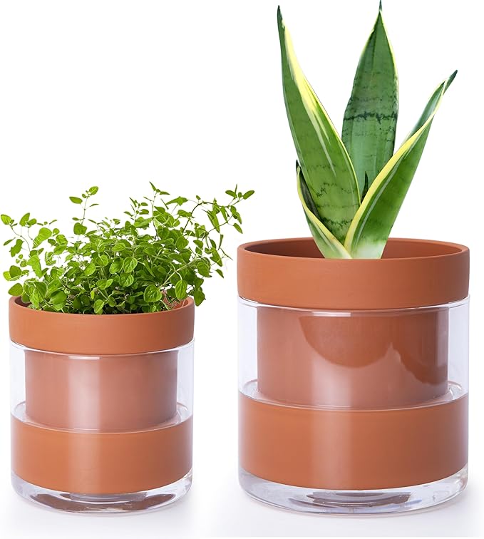 Phoenix Vine 4 Inch 6 Inch Self Watering Planter Pots, Terracotta Clay Pots with Glass Reservoir for Indoor Plants, Herbs, Flowers, 52-A-G-46