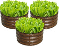 SnugNiture 3 Pcs 2x2x1ft Round Galvanized Raised Garden Bed Kit Outdoor, Metal Planter Box for Planting Plants Vegetables, Brown