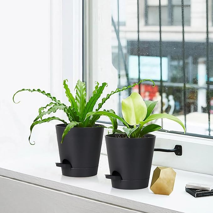 5 Pack 5 inch Self-Watering Pots, African Violets Planter with Drainage Holes and Reservoir, Black Plastic Planter for Indoor Outdoor Plants Flowers and Houseplants Black, 5 inch 5 pcs