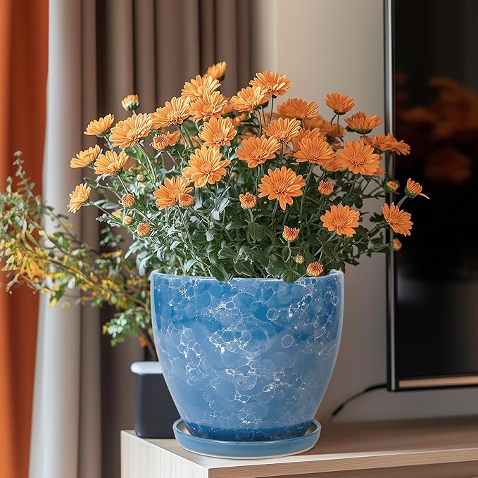 8 Inch Plant Pot - Ceraimc Planter for Indoor Outdoor Plants, Round Flower Pot with Drainage and Saucer, Decorative Planter, Porch Room Office House Decor, Gardening Gifts for Women, Blue