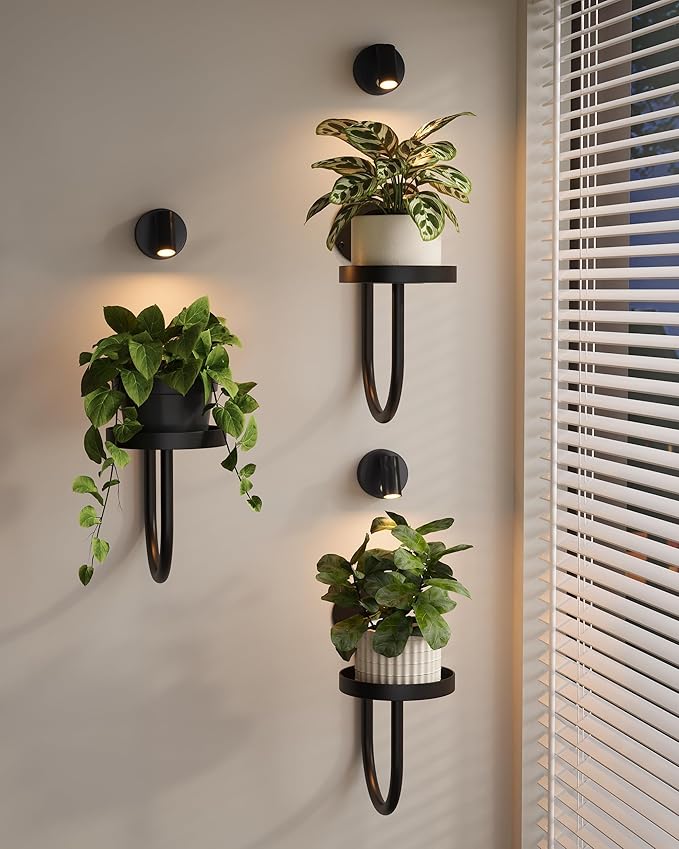 Bamworld Wall Decor Plant Stand with Lights Wall Art Planters Window Plant Hanger Indoor Hanging Planters for Indoor Plants for Living Room Black