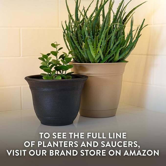 The HC Companies Sierra Round Self-Watering Pot - Lightweight Plastic Planter for Herbs & More - Durable Plant Pots for Indoor Plants & Outdoor Plants (10” Celtic Bronze, Pack of 2)