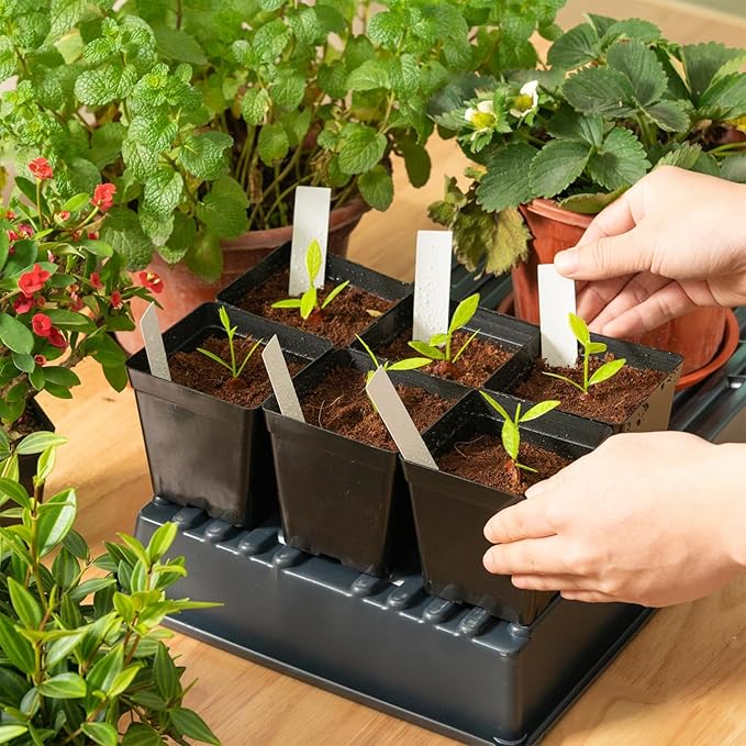June Fox Square Nursery Pots 3.3 Inches Flexible Plastic Seedling Pots Square Pots for Plants, Succulent, Flower, Pack of 100, with 100 PCS Plant Labels