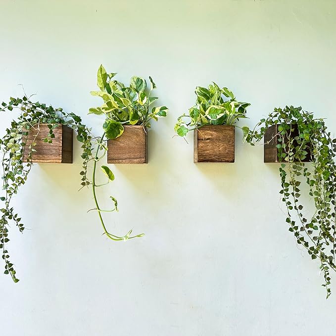 LaLaGreen Wood Planter Boxes (4x4 Inch, 4 Pack) Small Square Wooden Wall Mounted Flower Pot for Indoor Plants, Window Box Mount Hanging Herb Planters Outdoor Plant Holder Vertical Garden Home Decor