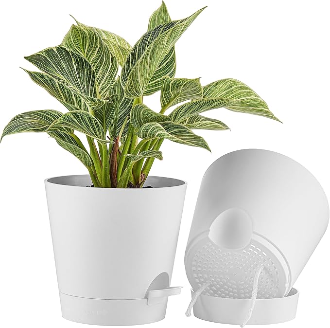 FaithLand 2-Pack 8 Inch Planter Pots for Indoor Outdoor Plants, Self Watering Flower Pots with Deep Reservoir, White …