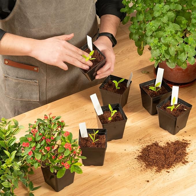 June Fox Square Nursery Pots 3.3 Inches Flexible Plastic Seedling Pots Square Pots for Plants, Succulent, Flower, Pack of 100, with 100 PCS Plant Labels