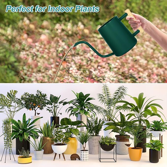 Watering Can Indoor Plants, 35 oz/1000 ml Metal Stainless Steel Watering Can Pot with Long Spout for Indoor House Plants Bonsai Outdoor Garden Flower Decorative (Alpinegreen)