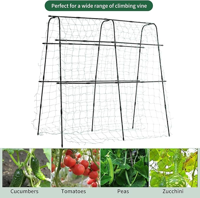 Lalahoni Cucumber Trellis, 5.3x5.3 Feet Metal Garden Arch Plant Support for Climbing Plants Outdoor Vegetable Fruit Flower Vine Peas Beans Trellis for Raised Bed, Lightweight, Black