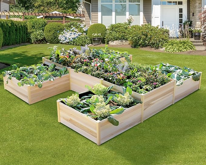 AMERLIFE Raised Garden Bed – 12x12x2 ft H-Shaped Wooden Planter Box, 180 Cu. Ft Capacity, Double-Layer Design for Outdoor Patio, Yard, and Garden Use