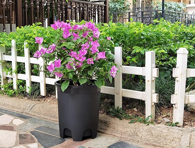 5 Gallon 6-Pack Large Plant Pots Nursery Tree Pot Plastic Planters for Outdoor Indoor Plants Gardening Flower Pots with Drainage Holes