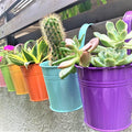 LaLaGreen Hanging Planters Outdoor -10 Pack, 6 Inch Colorful Large Metal Flower Pot, Balcony Planters Railing Hanging Herb Garden Iron Hanging Plant Buckets for Fence Rail Deck Porch Outside Wall