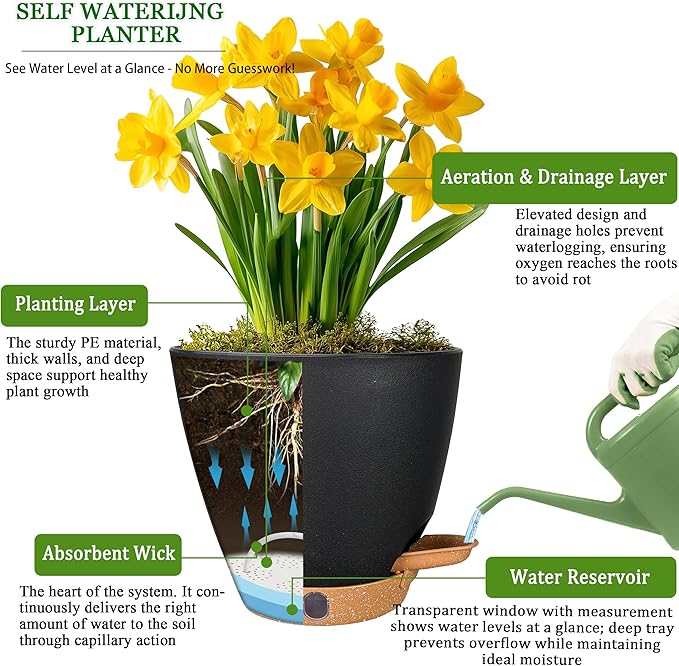 6 Inch Self Watering Pots for Indoor Plants (5-Pack) – Small Plastic Planters with Water Window, Drainage Holes & Trays, Indoor Outdoor Flower Pots for Herbs, Succulents, Home Garden Decor (Black)