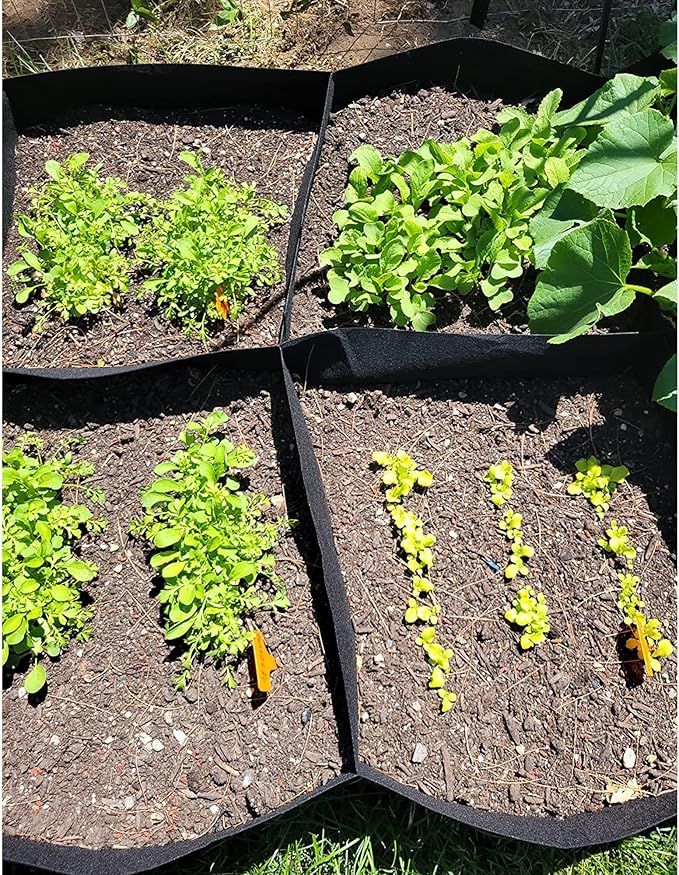 CJGQ Fabric Raised Garden Bed, 128 Gallon 8 Grids Plant Grow Bags, 3x6FT Planter Raised Beds for Growing Vegetables Potatoes Flowers, Rectangle Planting Container for Outdoor Gardening